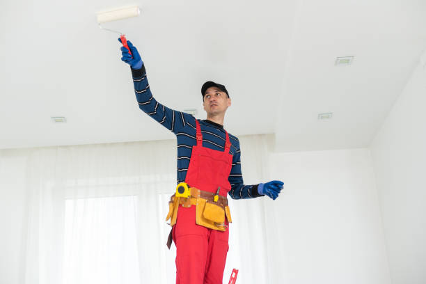 Best Drywall Repair  in USA